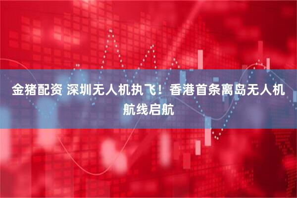 金猪配资 深圳无人机执飞！香港首条离岛无人机航线启航