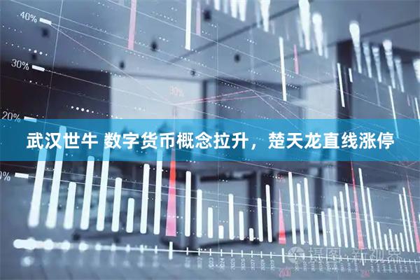 武汉世牛 数字货币概念拉升，楚天龙直线涨停