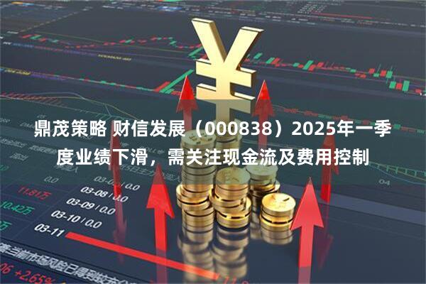 鼎茂策略 财信发展（000838）2025年一季度业绩下滑，需关注现金流及费用控制