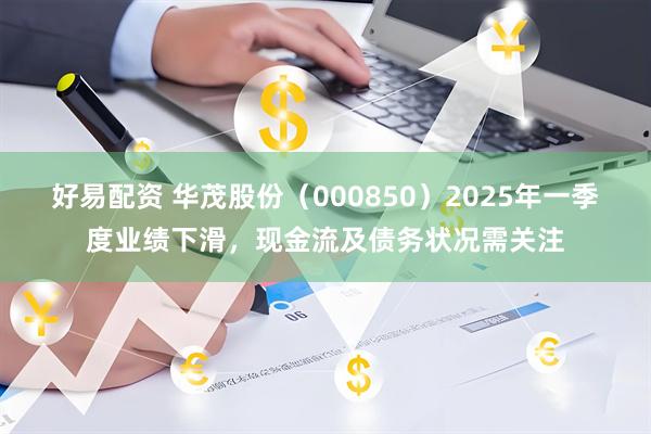 好易配资 华茂股份（000850）2025年一季度业绩下滑，现金流及债务状况需关注