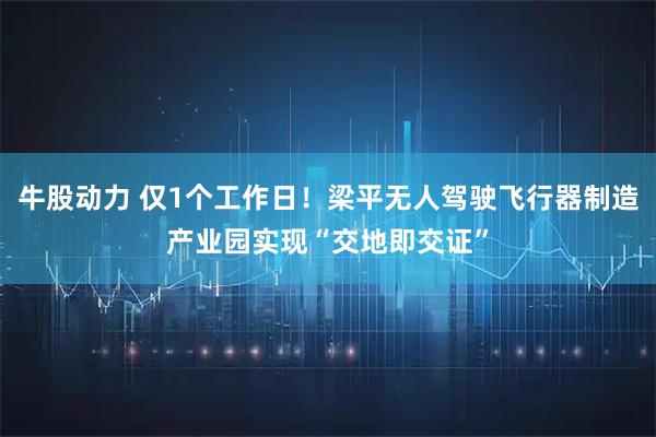 牛股动力 仅1个工作日！梁平无人驾驶飞行器制造产业园实现“交地即交证”