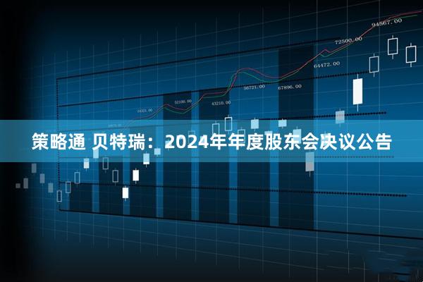 策略通 贝特瑞：2024年年度股东会决议公告