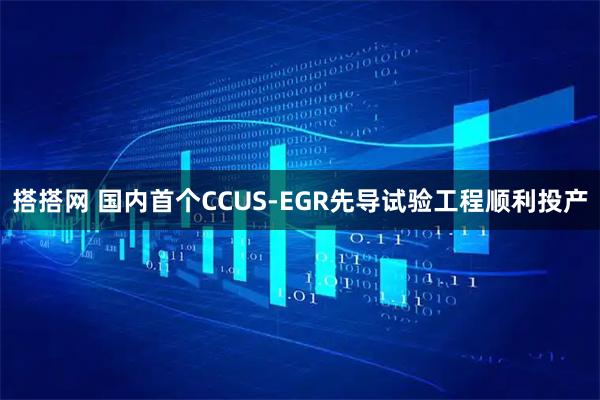 搭搭网 国内首个CCUS-EGR先导试验工程顺利投产